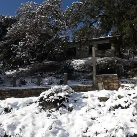 Daralrayhan Aïn Draham Exterior photo