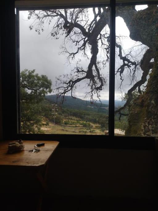 Daralrayhan Holiday home *