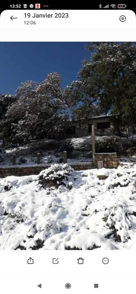 Holiday home Daralrayhan *